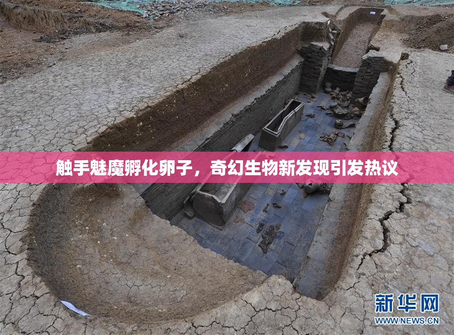 触手魅魔孵化卵子，奇幻生物新发现引发热议