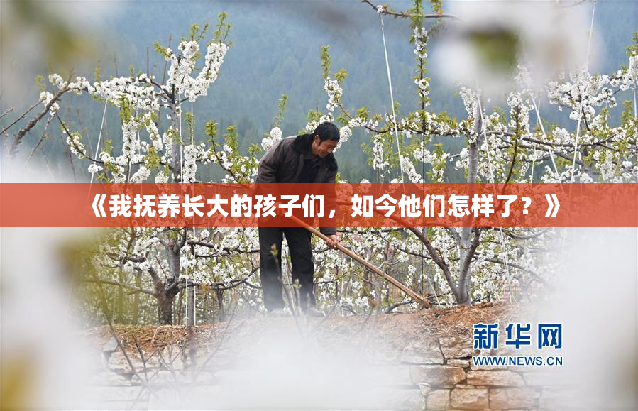 《我抚养长大的孩子们，如今他们怎样了？》
