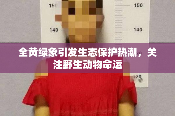 全黄绿象引发生态保护热潮，关注野生动物命运