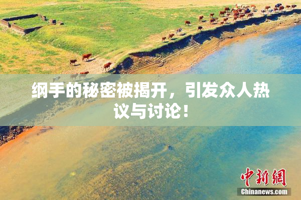 纲手的秘密被揭开，引发众人热议与讨论！