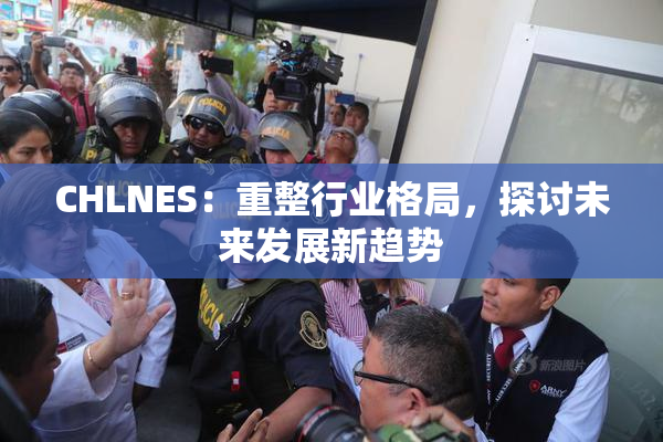 CHLNES：重整行业格局，探讨未来发展新趋势