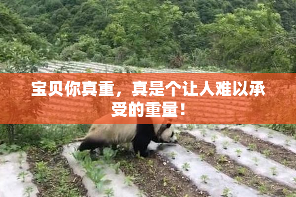 宝贝你真重，真是个让人难以承受的重量！