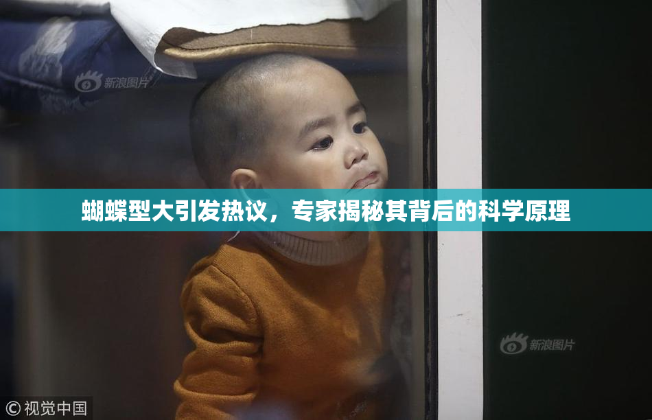 蝴蝶型大引发热议，专家揭秘其背后的科学原理