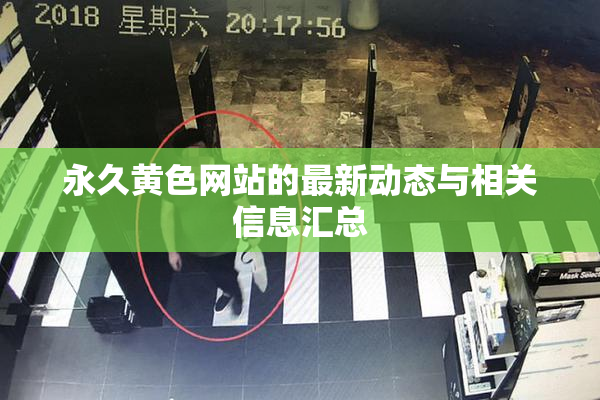 永久黄色网站的最新动态与相关信息汇总