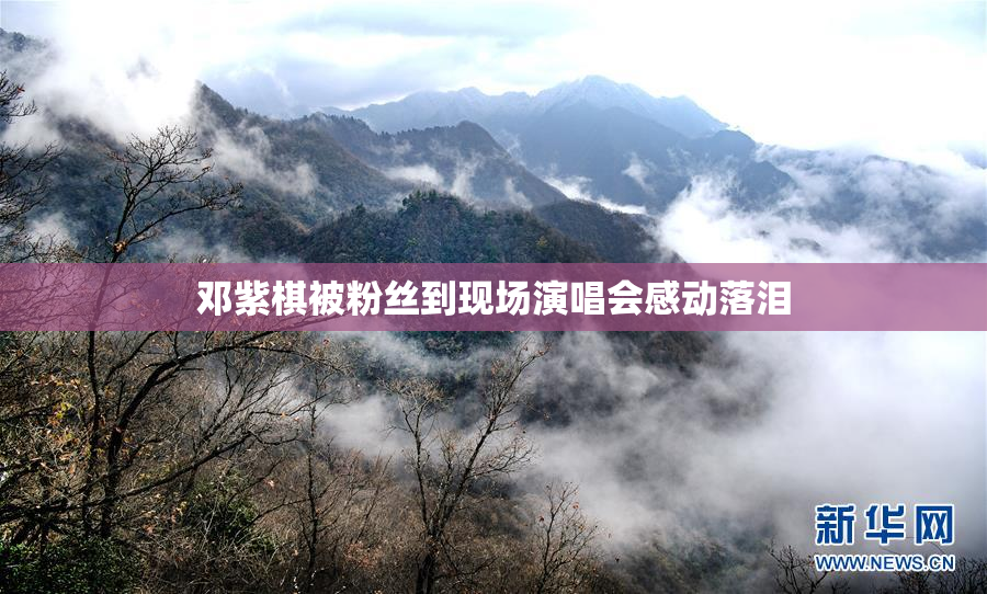 邓紫棋被粉丝到现场演唱会感动落泪