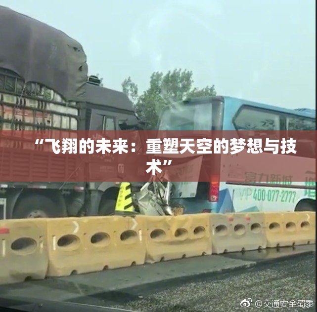 “飞翔的未来：重塑天空的梦想与技术”