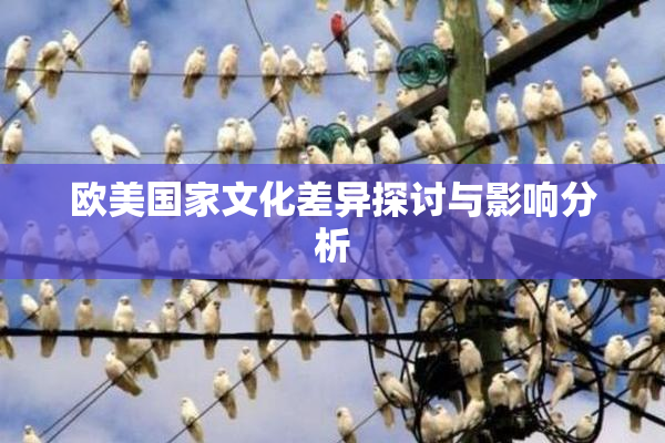 欧美国家文化差异探讨与影响分析