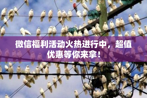 微信福利活动火热进行中，超值优惠等你来拿！