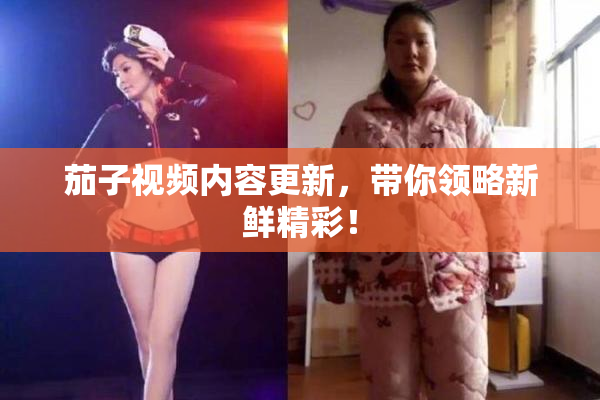 茄子视频内容更新，带你领略新鲜精彩！