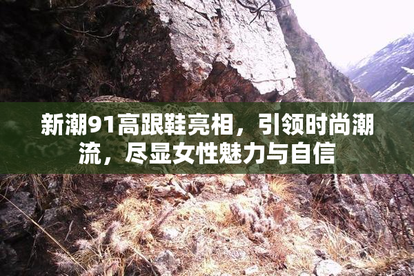 新潮91高跟鞋亮相，引领时尚潮流，尽显女性魅力与自信