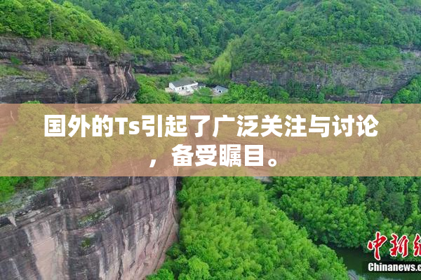 国外的Ts引起了广泛关注与讨论，备受瞩目。