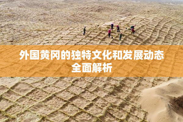 外国黄冈的独特文化和发展动态全面解析