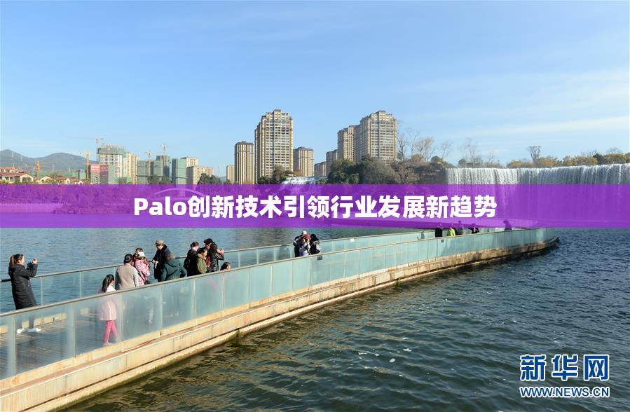 Palo创新技术引领行业发展新趋势