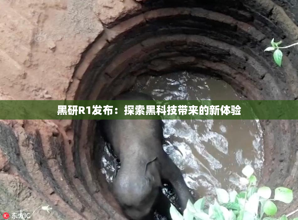 黑研R1发布：探索黑科技带来的新体验