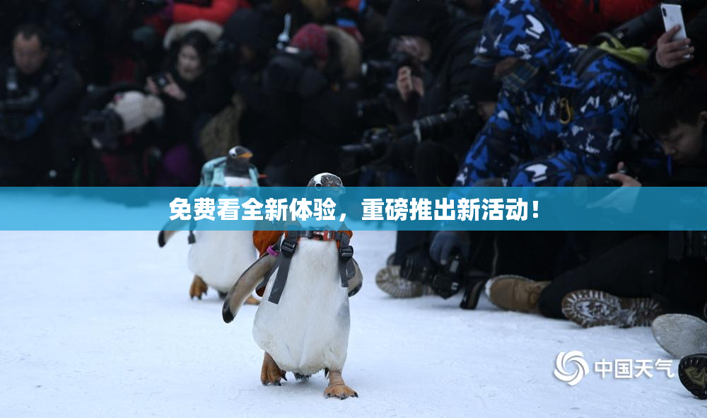 免费看全新体验，重磅推出新活动！
