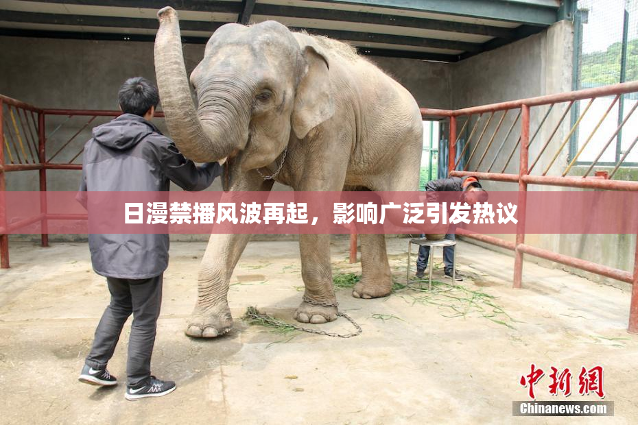 日漫禁播风波再起，影响广泛引发热议