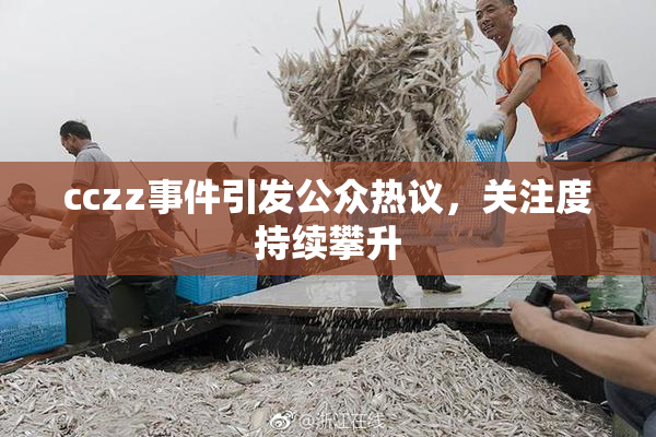 cczz事件引发公众热议，关注度持续攀升