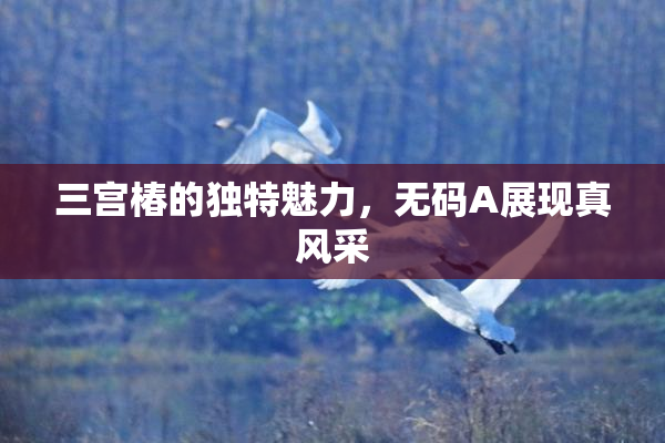 三宫椿的独特魅力，无码A展现真风采