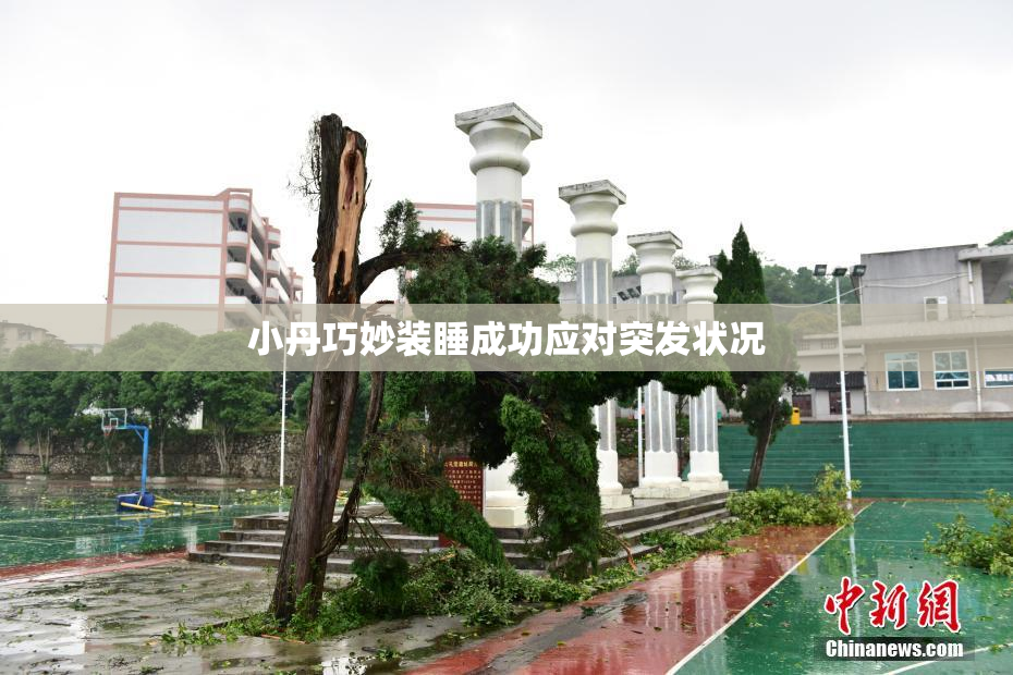 小丹巧妙装睡成功应对突发状况