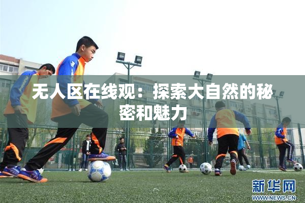 无人区在线观：探索大自然的秘密和魅力