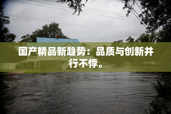 国产精品新趋势：品质与创新并行不悖。