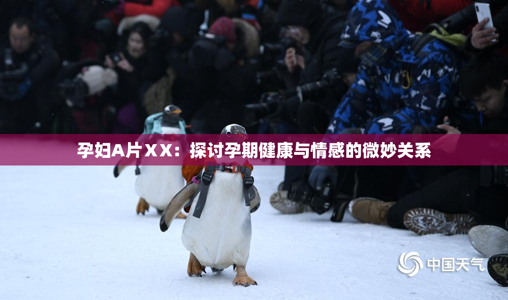 孕妇A片ⅩX：探讨孕期健康与情感的微妙关系