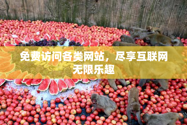 免费访问各类网站，尽享互联网无限乐趣