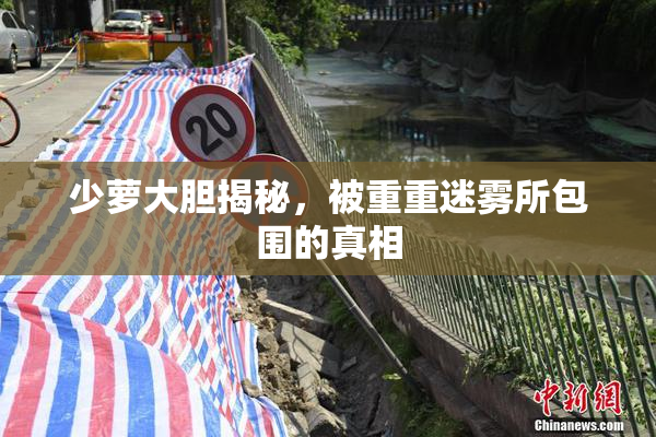 少萝大胆揭秘，被重重迷雾所包围的真相