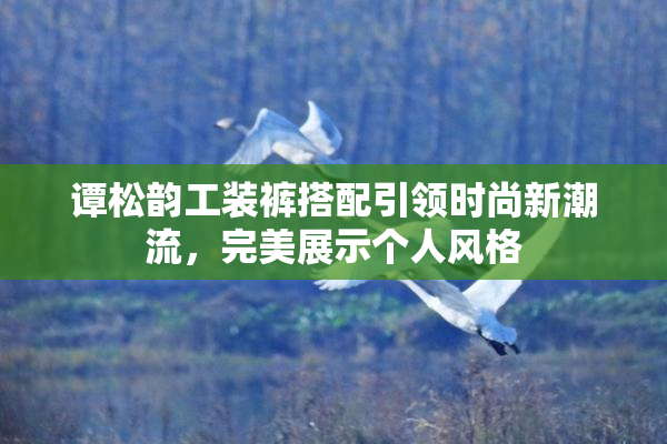 谭松韵工装裤搭配引领时尚新潮流，完美展示个人风格