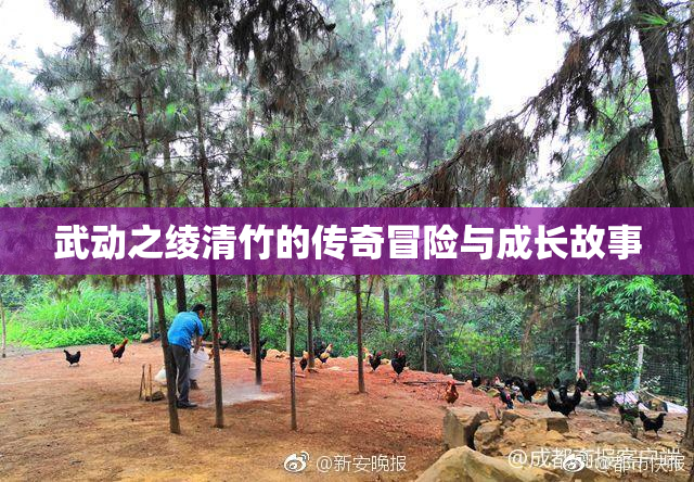 武动之绫清竹的传奇冒险与成长故事