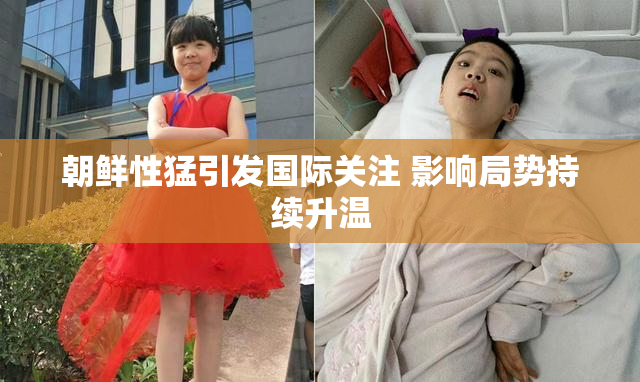 朝鲜性猛引发国际关注 影响局势持续升温