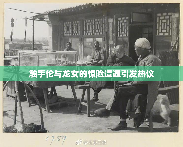 触手伦与龙女的惊险遭遇引发热议