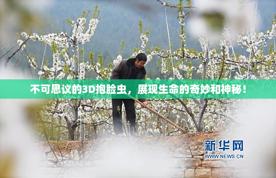 不可思议的3D抱脸虫，展现生命的奇妙和神秘！