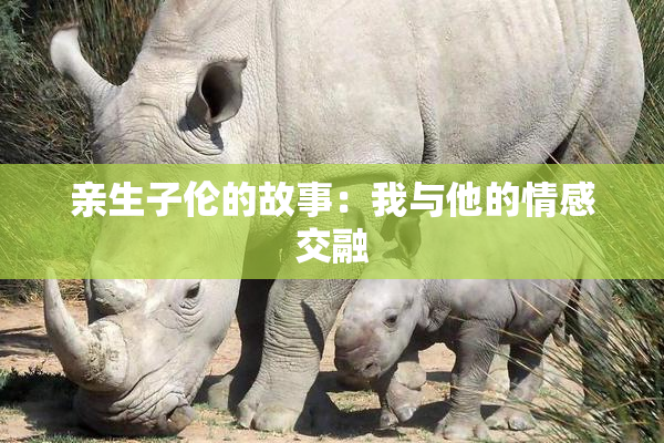 亲生子伦的故事：我与他的情感交融
