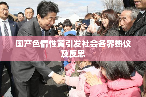 国产色情性黄引发社会各界热议及反思