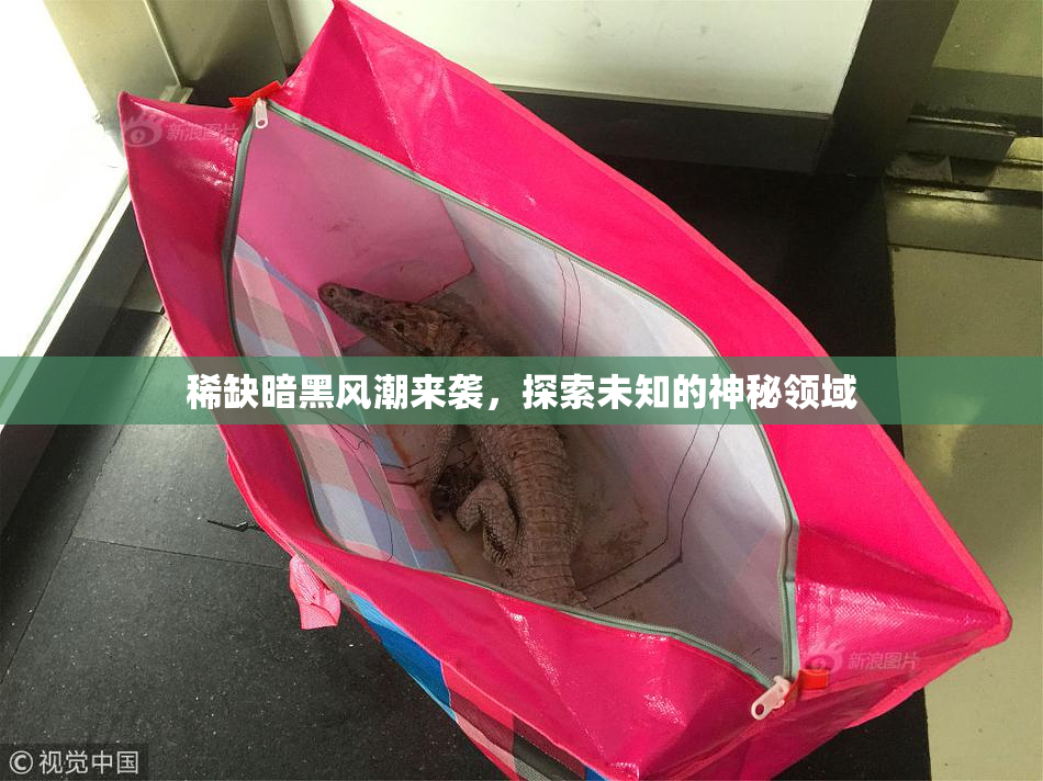 稀缺暗黑风潮来袭，探索未知的神秘领域