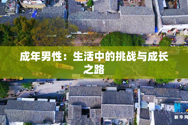 成年男性：生活中的挑战与成长之路