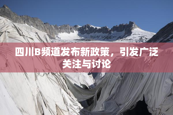 四川B频道发布新政策，引发广泛关注与讨论