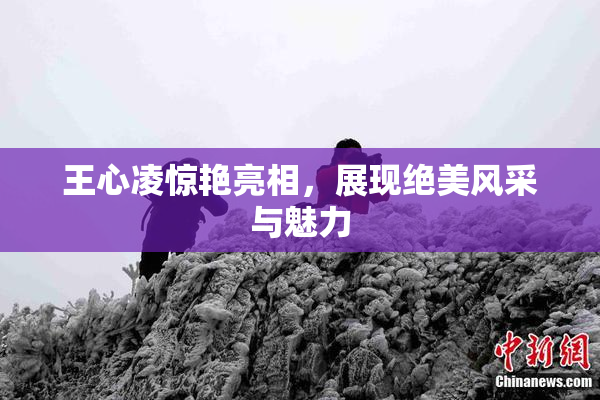 王心凌惊艳亮相，展现绝美风采与魅力
