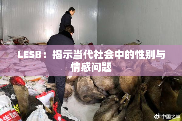 LESB：揭示当代社会中的性别与情感问题