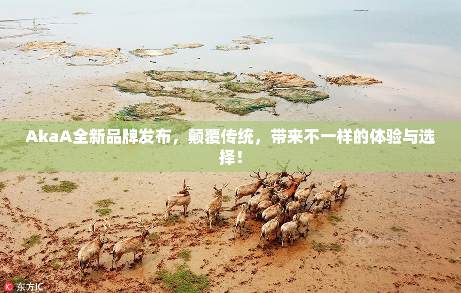 AkaA全新品牌发布，颠覆传统，带来不一样的体验与选择！