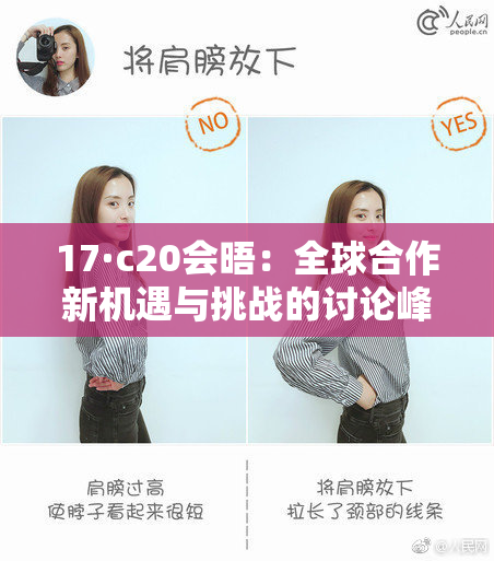 17·c20会晤：全球合作新机遇与挑战的讨论峰会