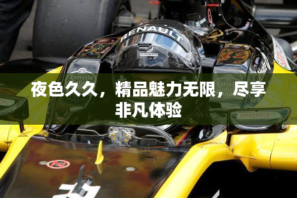 夜色久久，精品魅力无限，尽享非凡体验
