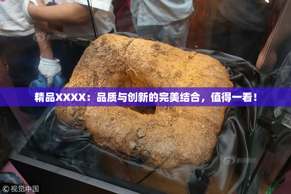 精品XXXX：品质与创新的完美结合，值得一看！