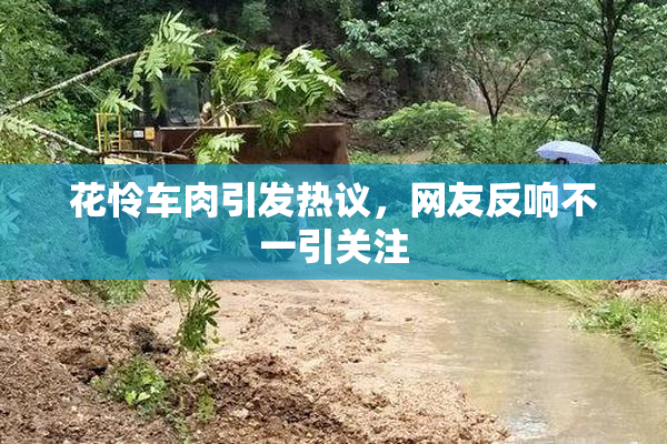 花怜车肉引发热议，网友反响不一引关注