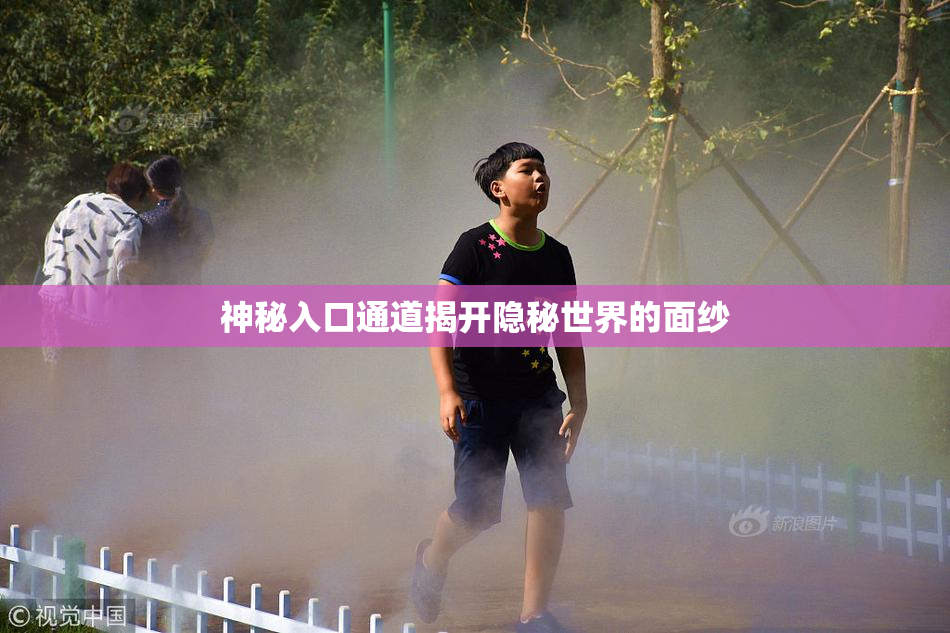 神秘入口通道揭开隐秘世界的面纱