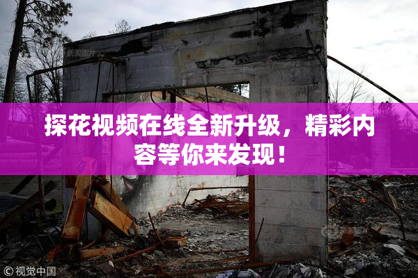 探花视频在线全新升级，精彩内容等你来发现！