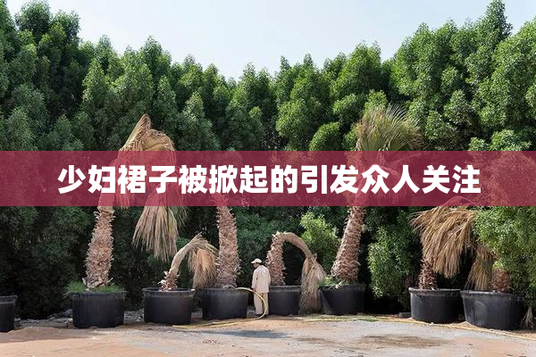 少妇裙子被掀起的引发众人关注