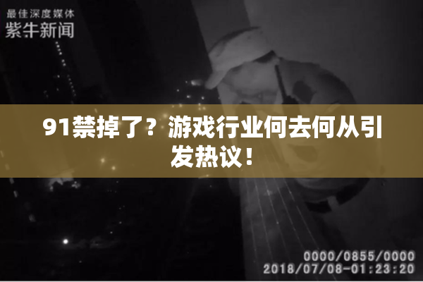 91禁掉了？游戏行业何去何从引发热议！