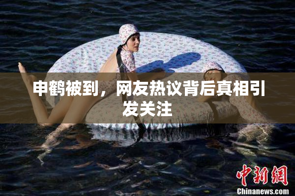申鹤被到，网友热议背后真相引发关注